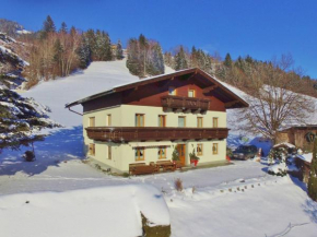 Apartment with Garden Garden Furniture BBQ Taxenbach